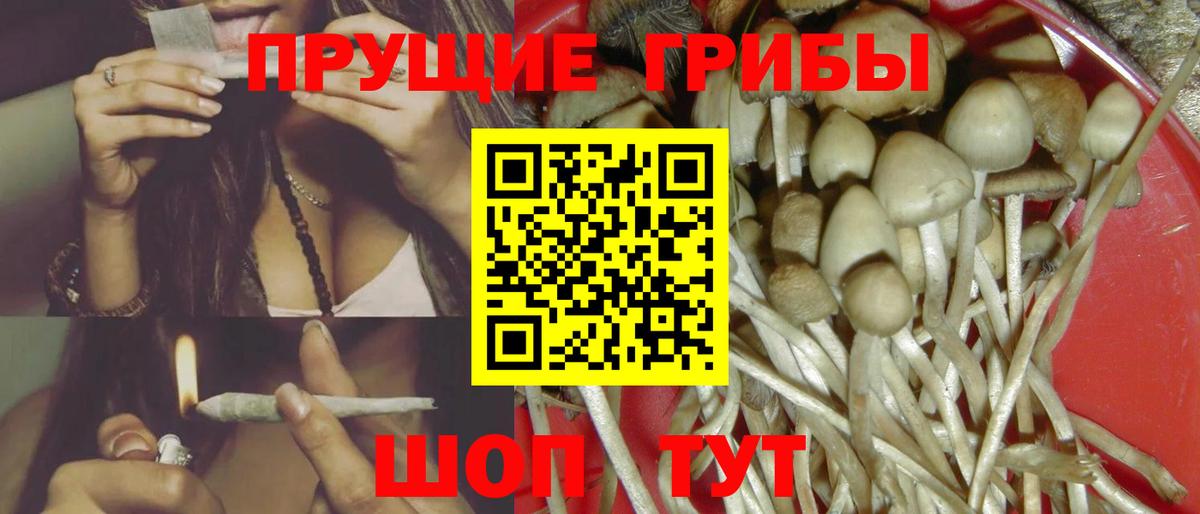Псилоцибиновые грибы Magic Shrooms Артёмовский
